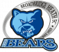 Broadbridge_Heath_F.C._logo