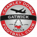 Crawley_Down_Gatwick_F.C._logo