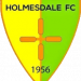 Holmesdale_FC