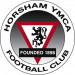 Horsham_YMCA_FC_badge
